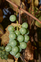 Similar image 21537800