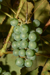 Similar image 21535568