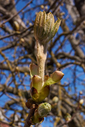 Similar image 21539296