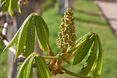 Similar image 21539909