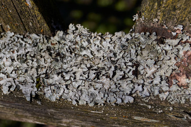 Similar image 21545831