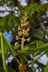 Similar image 21537801