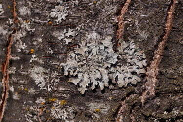 Similar image 21538579