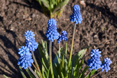 Similar image 21539911