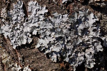 Similar image 21538581