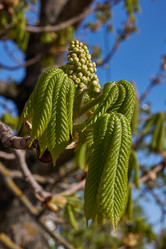 Similar image 21545832