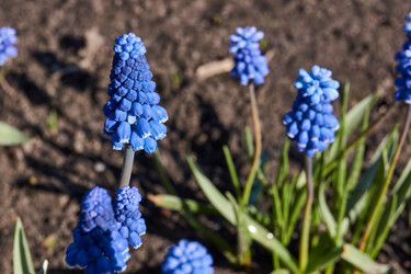 Similar image 21545833