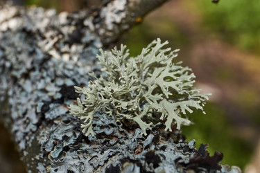 Similar image 21536158