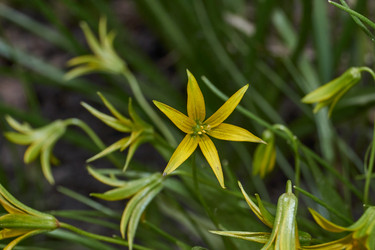 Similar image 21538582