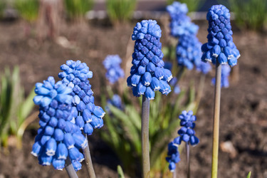 Similar image 21538583