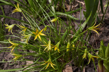 Similar image 21542531