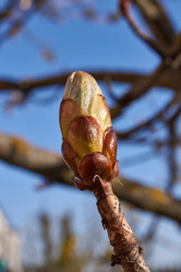 Similar image 21538585