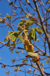 Similar image 21535826