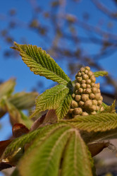 Similar image 21546794