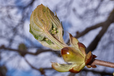 Similar image 21545834