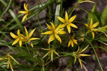 Similar image 21535571