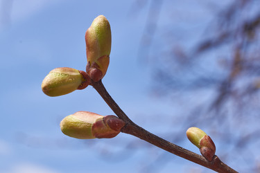 Similar image 21538587