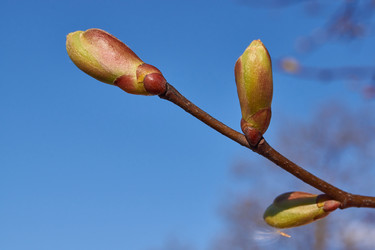 Similar image 21535572