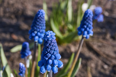 Similar image 21536161