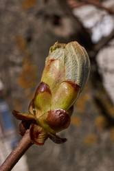 Similar image 21535576