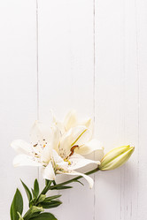 Similar image 21535597