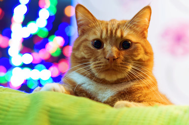 Similar image 21547342