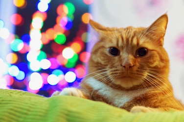 Similar image 21547343