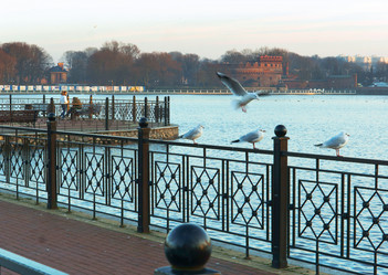 Similar image 21540037