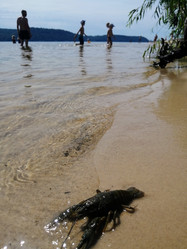 Similar image 21535619