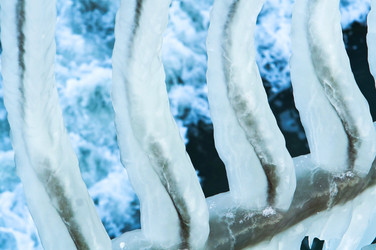 Similar image 21536165