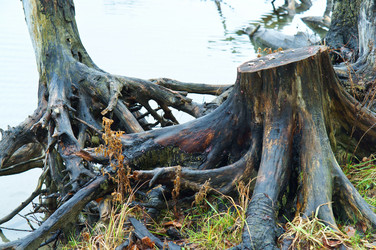 Similar image 21537808