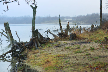 Similar image 21536168