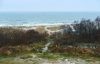 Similar image 21538603