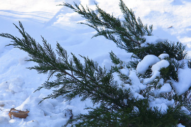 Similar image 21535853