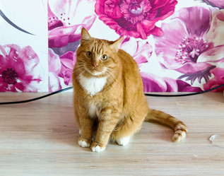 Similar image 21535854