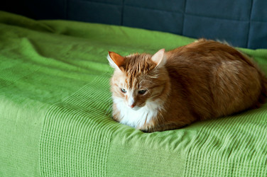 Similar image 21535855