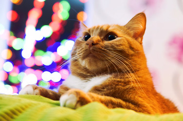 Similar image 21535831