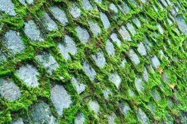 Similar image 21536170