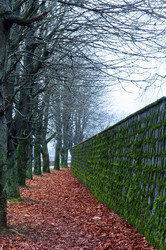 Similar image 21537818