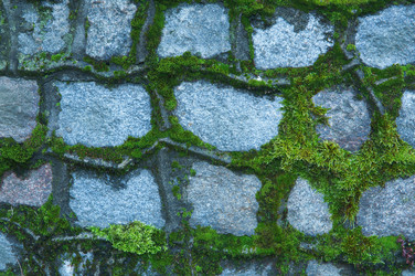 Similar image 21536171