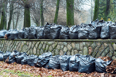 Similar image 21536175