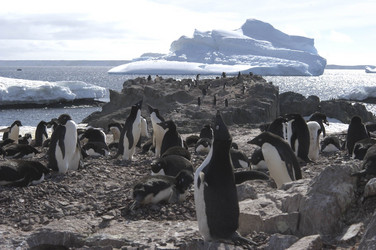 Similar image 21535808