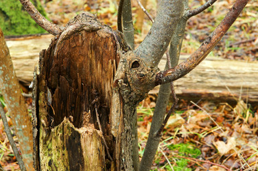 Similar image 21536177