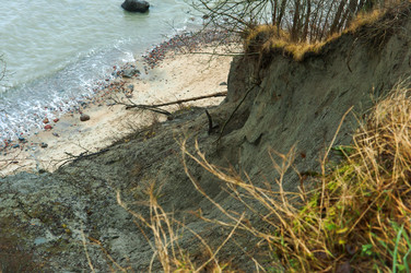 Similar image 21535835