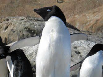 Similar image 21535809