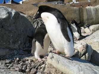 Similar image 21535810