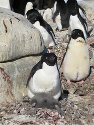 Similar image 21535811