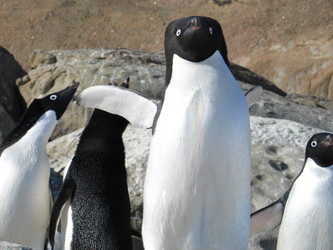 Similar image 21535812