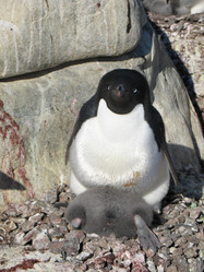 Similar image 21535813