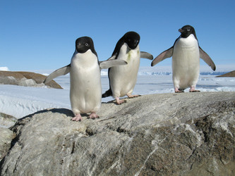 Similar image 21535814